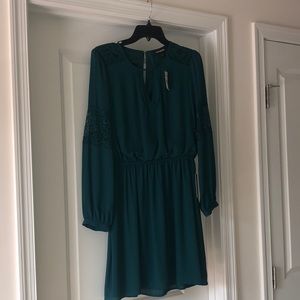NWT Express dress